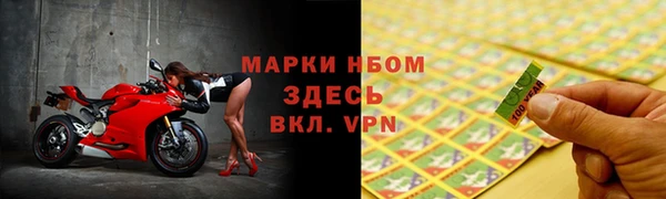 ALPHA PVP Горняк