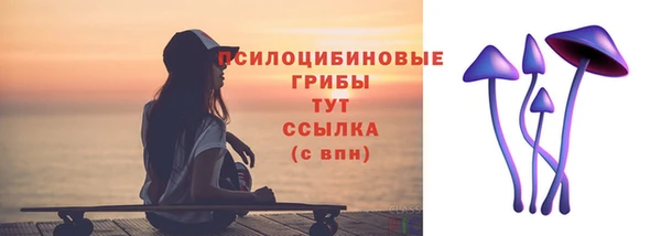 прущие крисы Горно-Алтайск