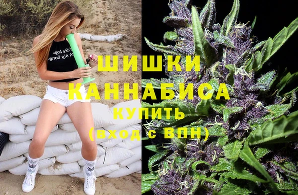 ALPHA PVP Горняк